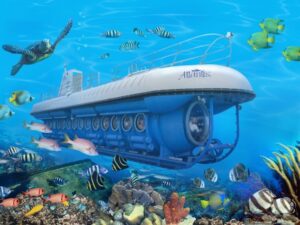 Whale Submarine Maldives